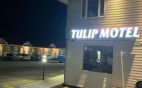 Tulip Motel Woodstock